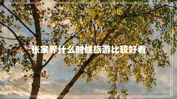 張家界什么時候旅游比較好看 張家界什么時候旅游比較好看