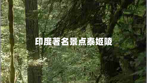 印度著名景點(diǎn)泰姬陵 印度著名景點(diǎn)泰姬陵