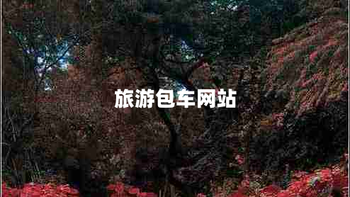 旅游包車網(wǎng)站 旅游包車網(wǎng)站