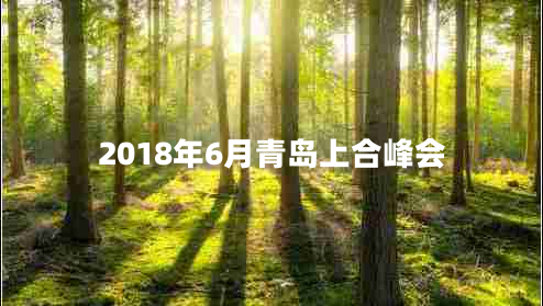 2018年6月青島上合峰會(huì)