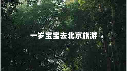 一歲寶寶去北京旅游