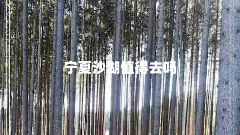 寧夏沙湖值得去嗎