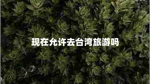 現(xiàn)在允許去臺(tái)灣旅游嗎