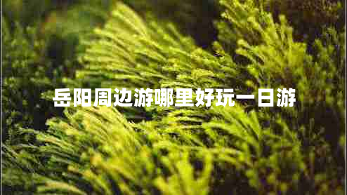 岳陽(yáng)周邊游哪里好玩一日游 岳陽(yáng)周邊游哪里好玩一日游