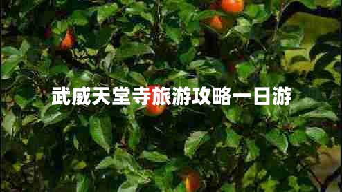 武威天堂寺旅游攻略一日游