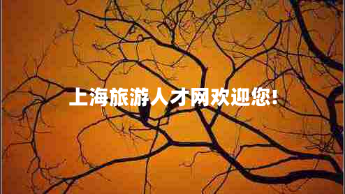 上海旅游人才網(wǎng)歡迎您!