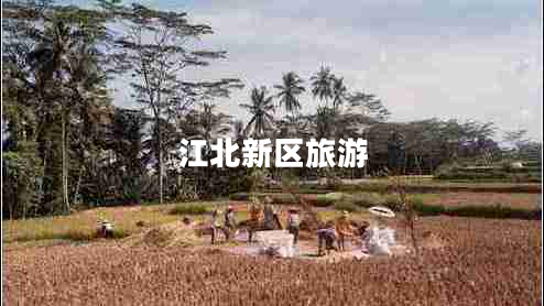 江北新區(qū)旅游