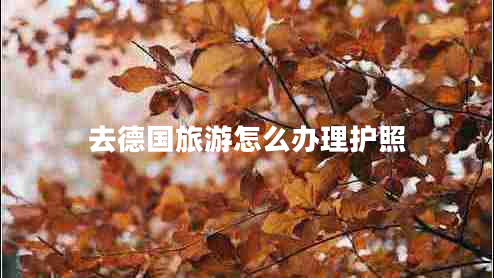 去德國旅游怎么辦理護照