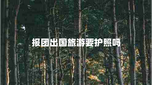 報(bào)團(tuán)出國(guó)旅游要護(hù)照嗎