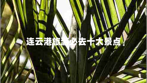 連云港旅游必去十大景點(diǎn) 連云港旅游必去十大景點(diǎn)