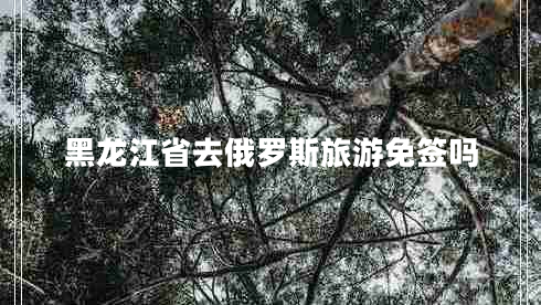 黑龍江省去俄羅斯旅游免簽嗎 黑龍江省去俄羅斯旅游免簽嗎