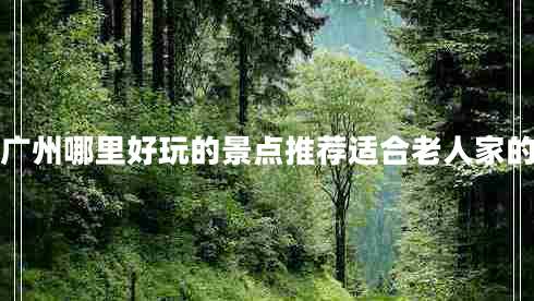 廣州哪里好玩的景點(diǎn)推薦適合老人家的