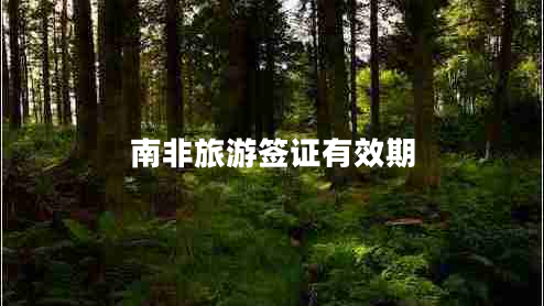 南非旅游簽證有效期