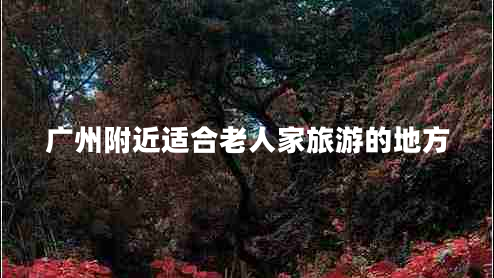 廣州附近適合老人家旅游的地方