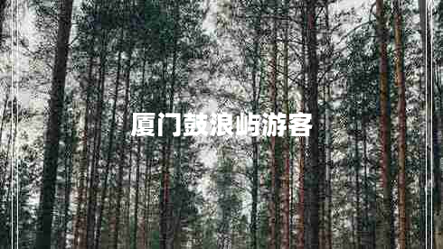 廈門鼓浪嶼游客