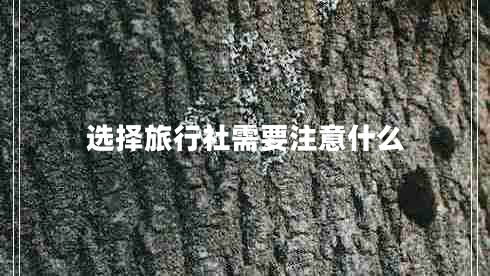 選擇旅行社需要注意什么 選擇旅行社需要注意什么