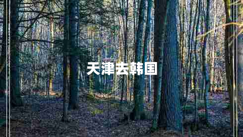 天津去韓國(guó)