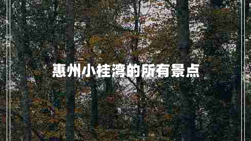 惠州小桂灣的所有景點