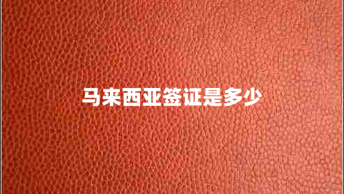 馬來西亞簽證是多少