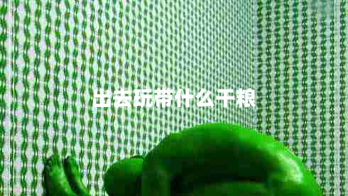 出去玩帶什么干糧 出去玩帶什么干糧