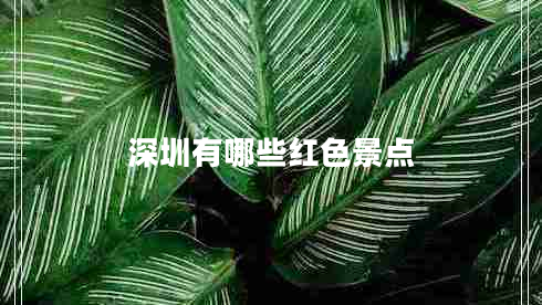 深圳有哪些紅色景點