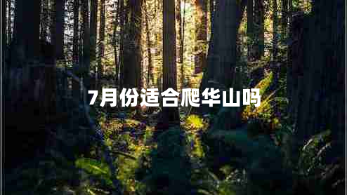 7月份適合爬華山嗎