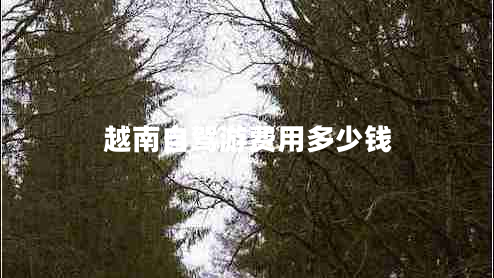 越南自駕游費用多少錢