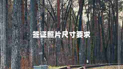 簽證照片尺寸要求