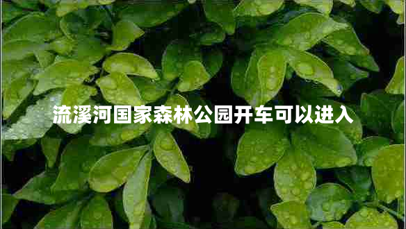 流溪河國(guó)家森林公園開(kāi)車可以進(jìn)入 流溪河國(guó)家森林公園開(kāi)車可以進(jìn)入