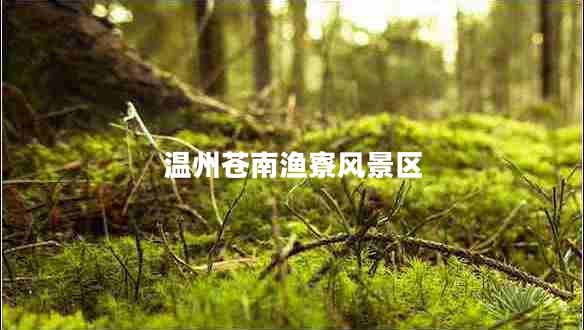 溫州蒼南漁寮風(fēng)景區(qū) 溫州蒼南漁寮風(fēng)景區(qū)