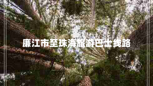 廉江市至珠海旅游巴士線路