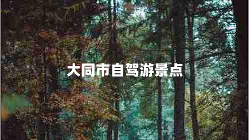大同市自駕游景點(diǎn) 大同市自駕游景點(diǎn)