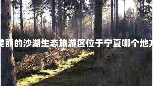 美麗的沙湖生態(tài)旅游區(qū)位于寧夏哪個(gè)地方