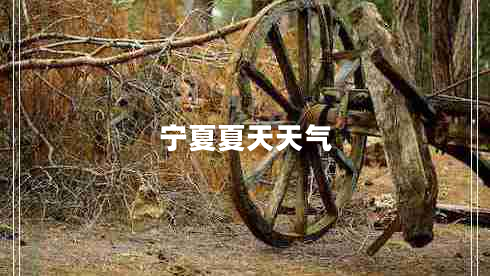 寧夏夏天天氣