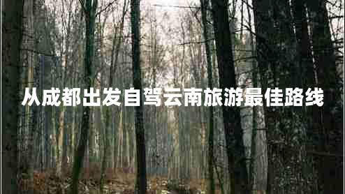 從成都出發(fā)自駕云南旅游最佳路線