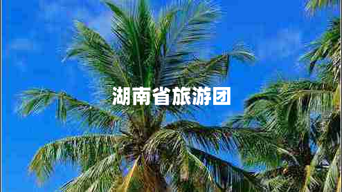 湖南省旅游團