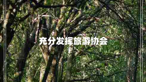 充分發(fā)揮旅游協(xié)會(huì)