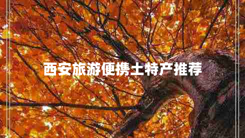 西安旅游便攜土特產(chǎn)推薦