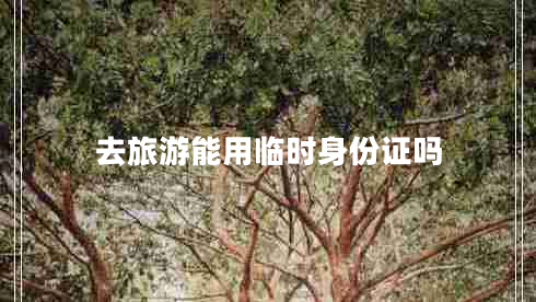 去旅游能用臨時身份證嗎