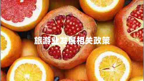 旅游業(yè)發(fā)展相關(guān)政策