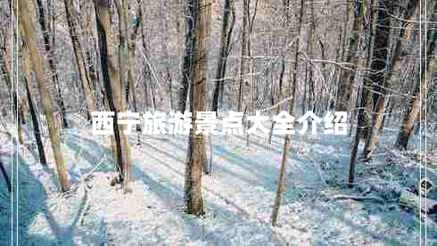 西寧旅游景點大全介紹 西寧旅游景點大全介紹