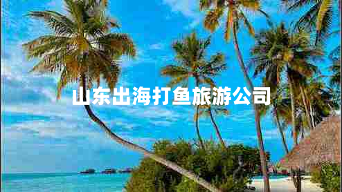 山東出海打魚旅游公司