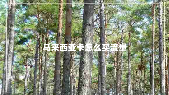 馬來(lái)西亞卡怎么買流量