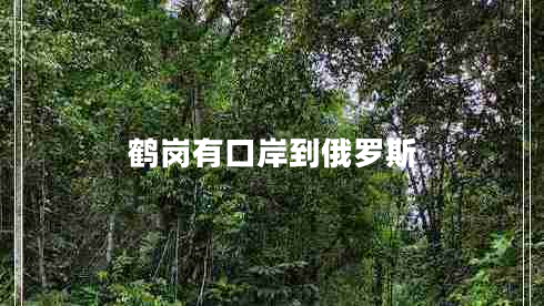 鶴崗有口岸到俄羅斯