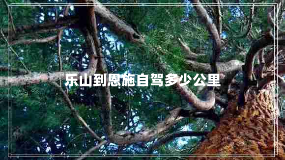 樂(lè)山到恩施自駕多少公里