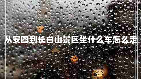 從安圖到長白山景區(qū)坐什么車怎么走