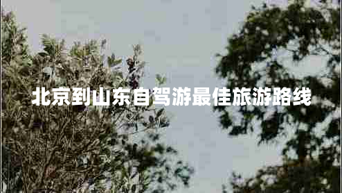 北京到山東自駕游最佳旅游路線 北京到山東自駕游最佳旅游路線