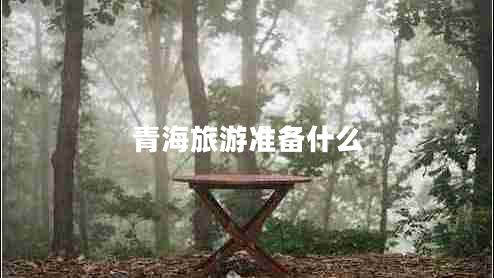 青海旅游準(zhǔn)備什么