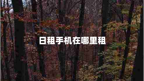 日租手機在哪里租 日租手機在哪里租