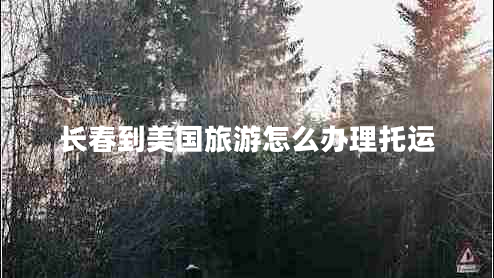 長春到美國旅游怎么辦理托運 長春到美國旅游怎么辦理托運